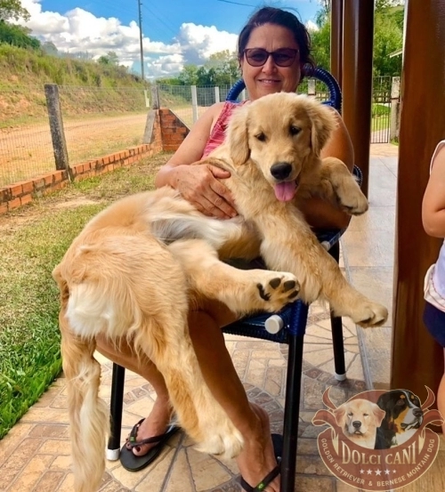 Dolci Cani Bela